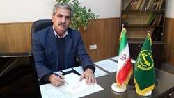 بیش از ۸ هزار تن انگور در خوشاب خراسان برداشت شد